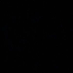 Meet your Posher, Ray